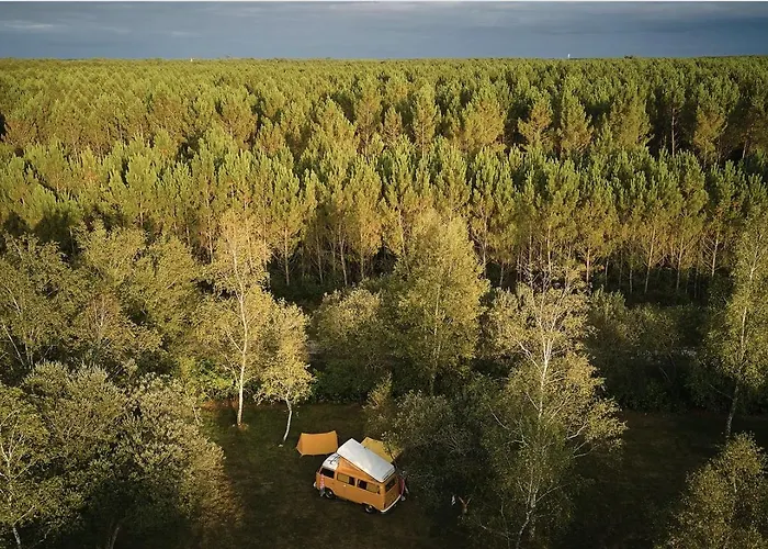 Flor La Roulotte Du Medoc 3*